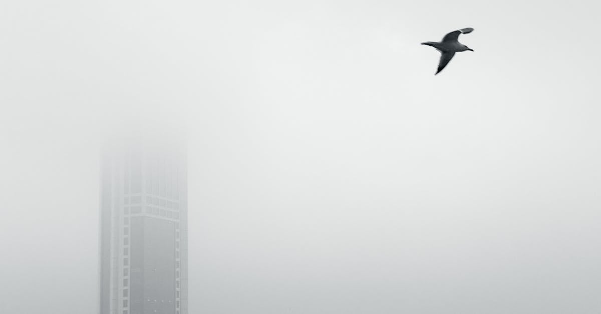 1分鐘讀財經|新台幣衝破28字頭 專家警告下半年匯市更動盪