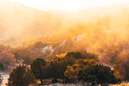 Captivating view of mist-covered mountains with golden sunlight in Muğla, Türkiye.