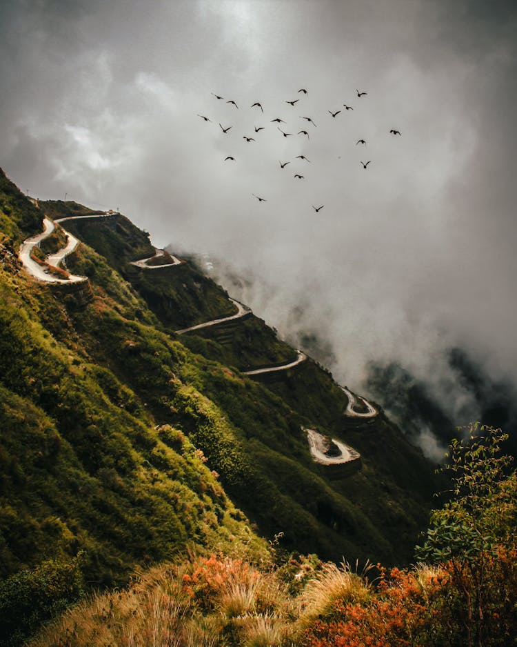 A Flock Of Birds In Flight The Mountain With A Winding Road