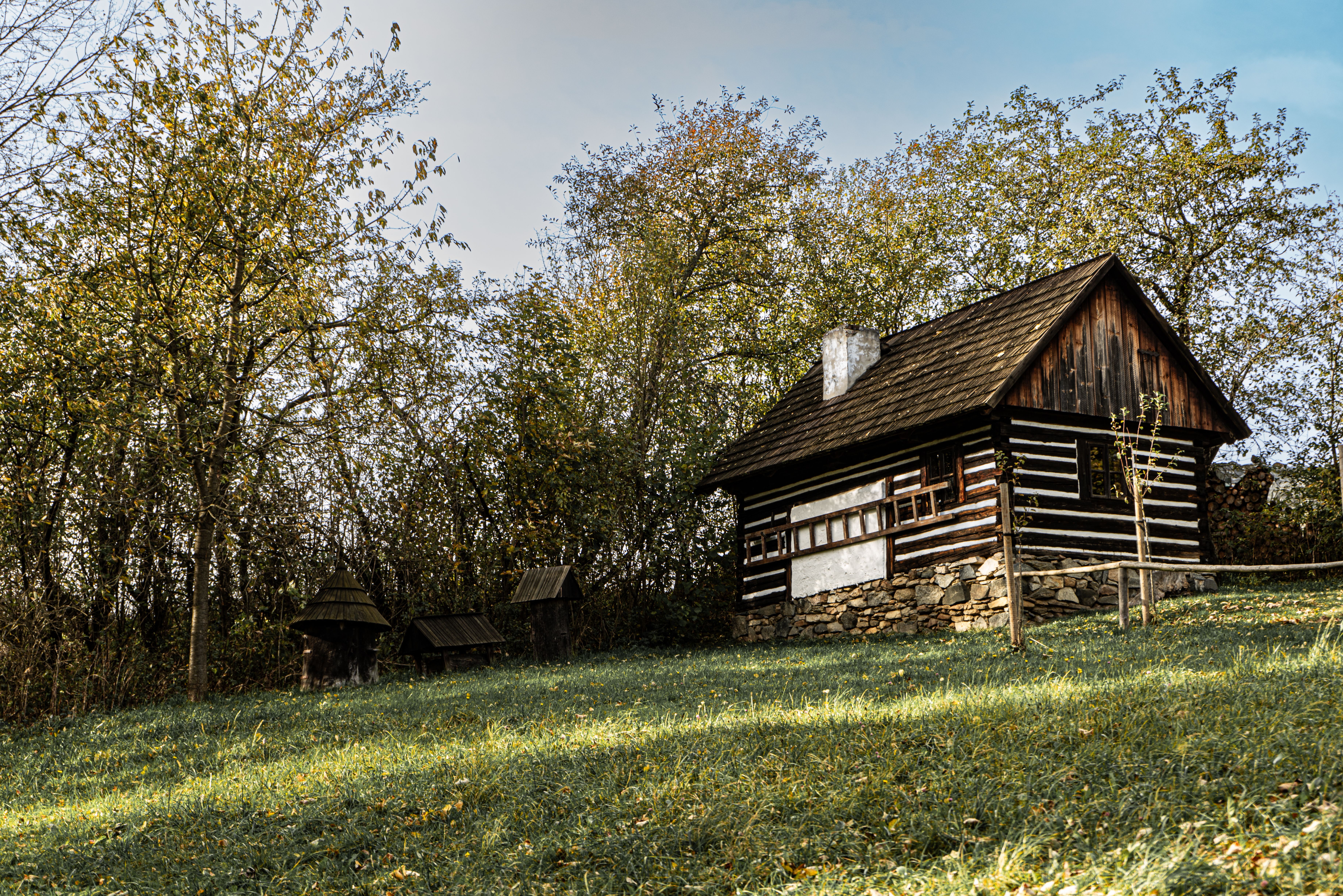 Restored wooden cabin in natural setting