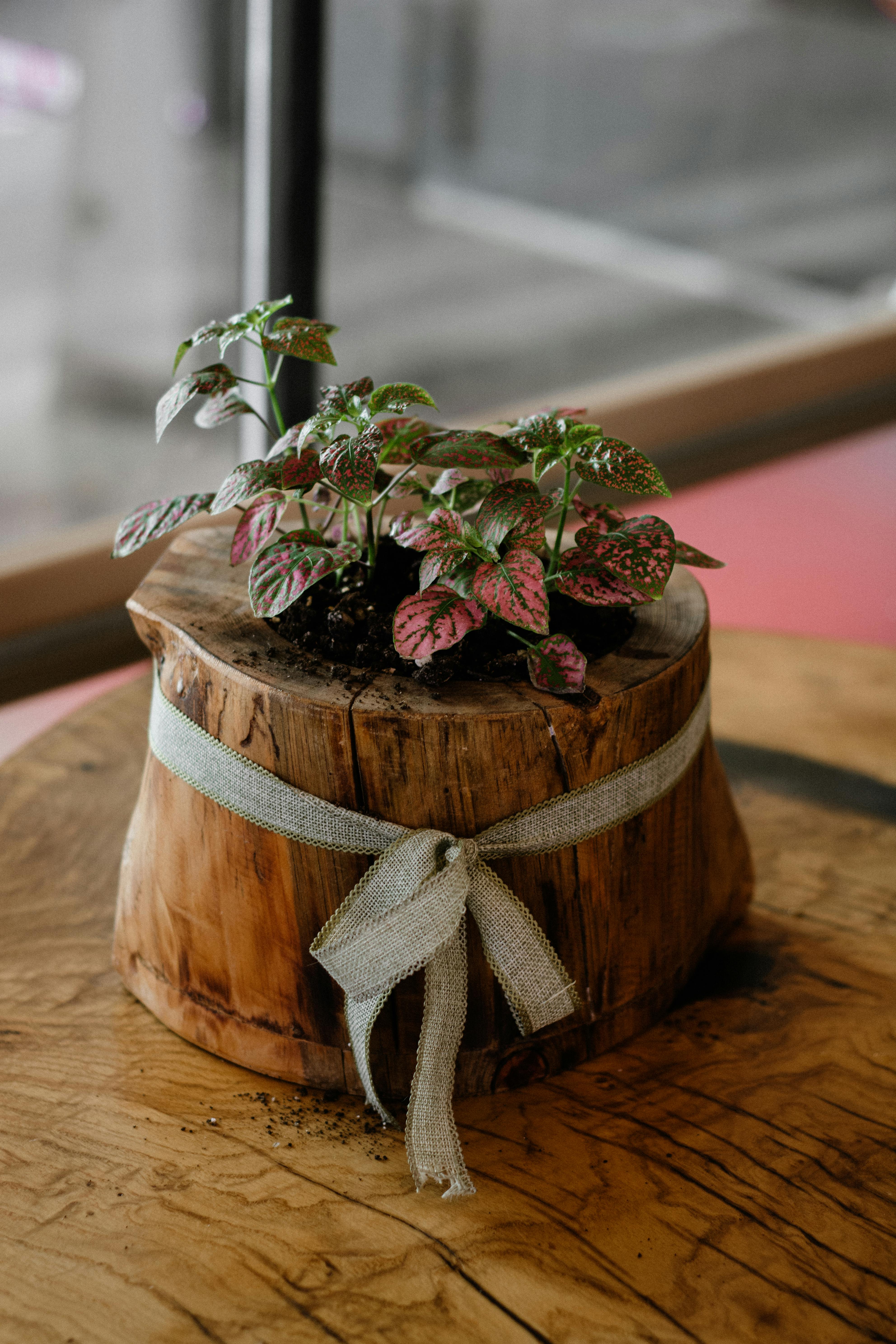 Modern Minimalist Planter Boxes
