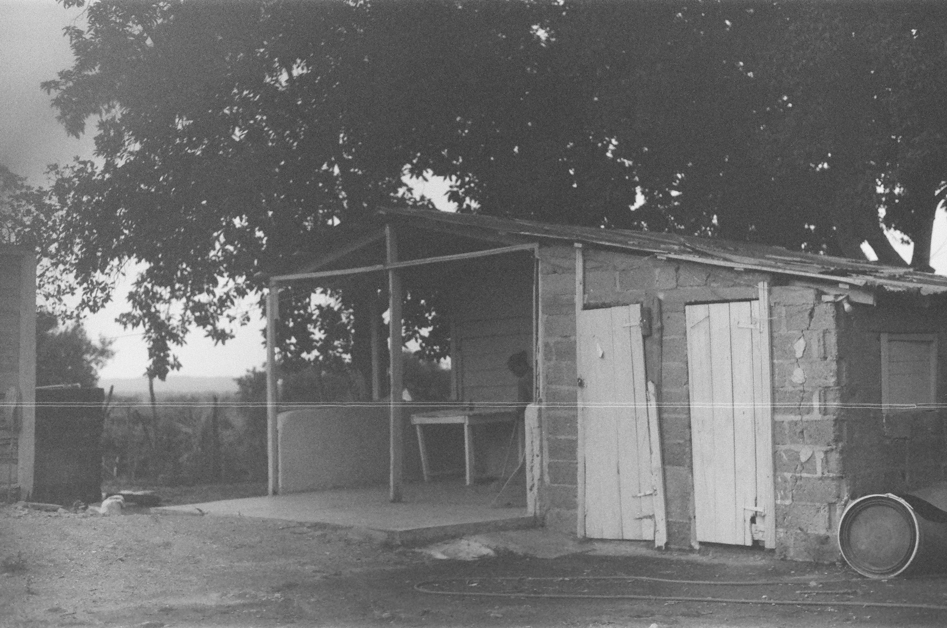 family storing bicycles in garden shed wide open doors