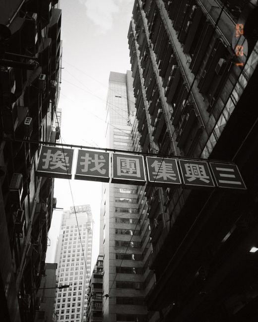 Black and white photo of a narrow urban alleyway with towering skyscrapers above and hanging signage.
