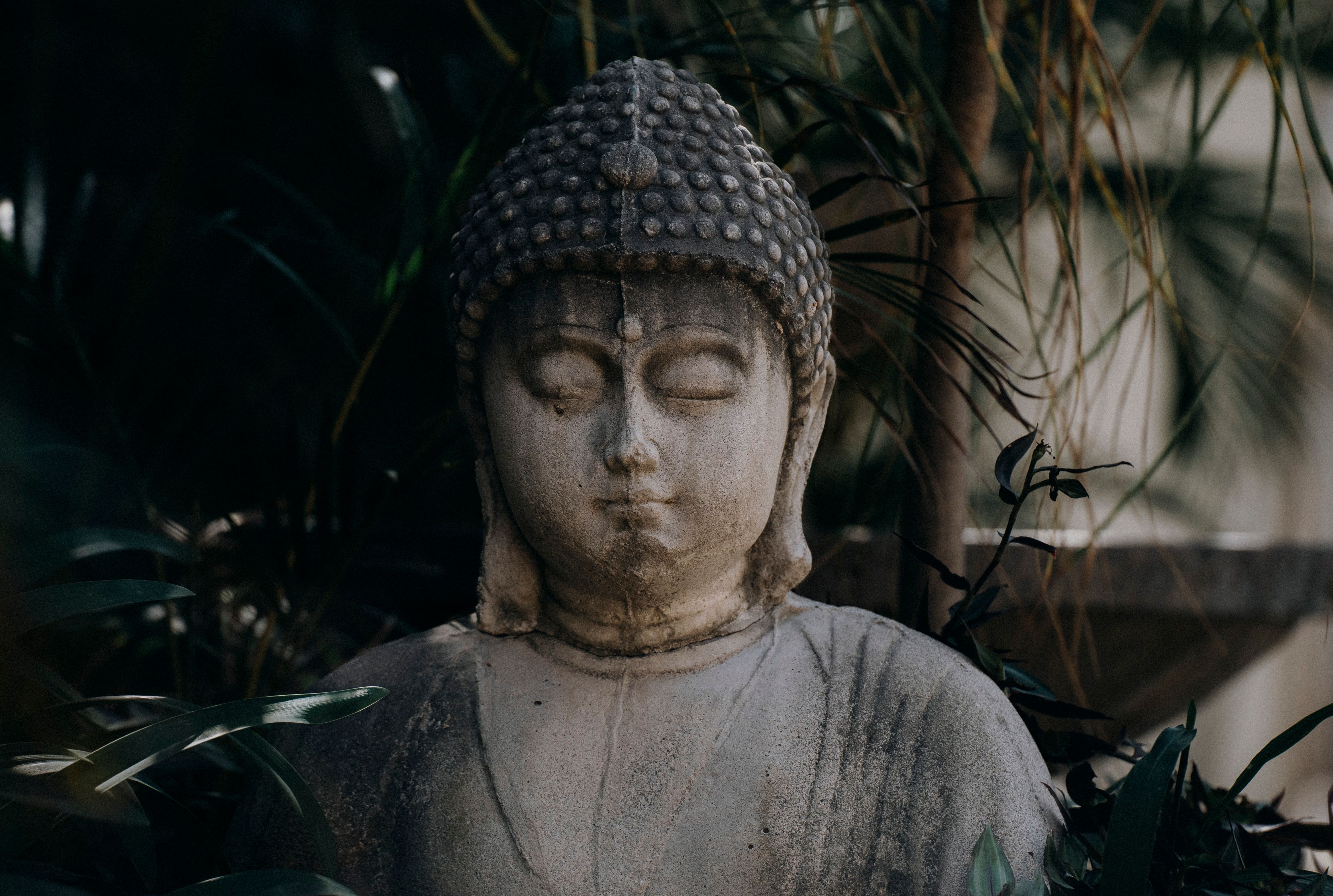 Waking Up App vs Headspace: Sam Harris vs Andy Puddicombe