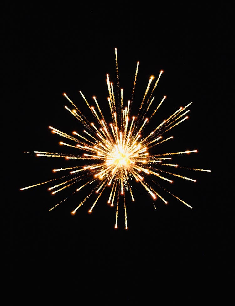 Golden Firework In Night Sky