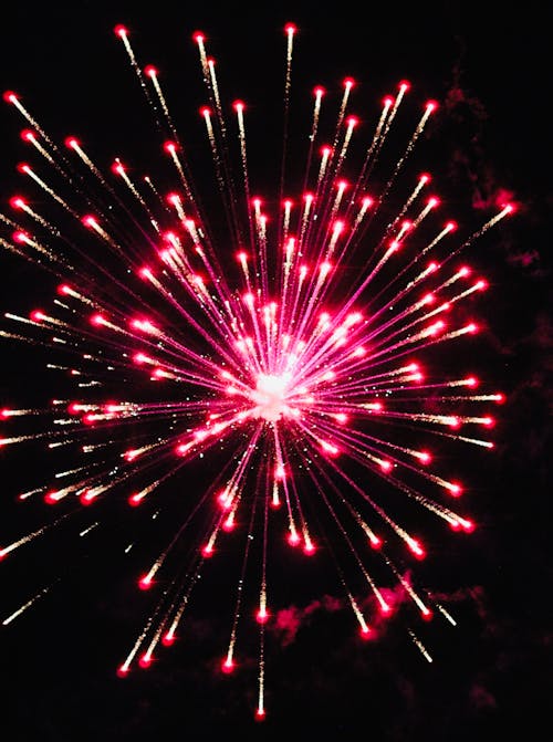 Free Red firework in dark sky Stock Photo
