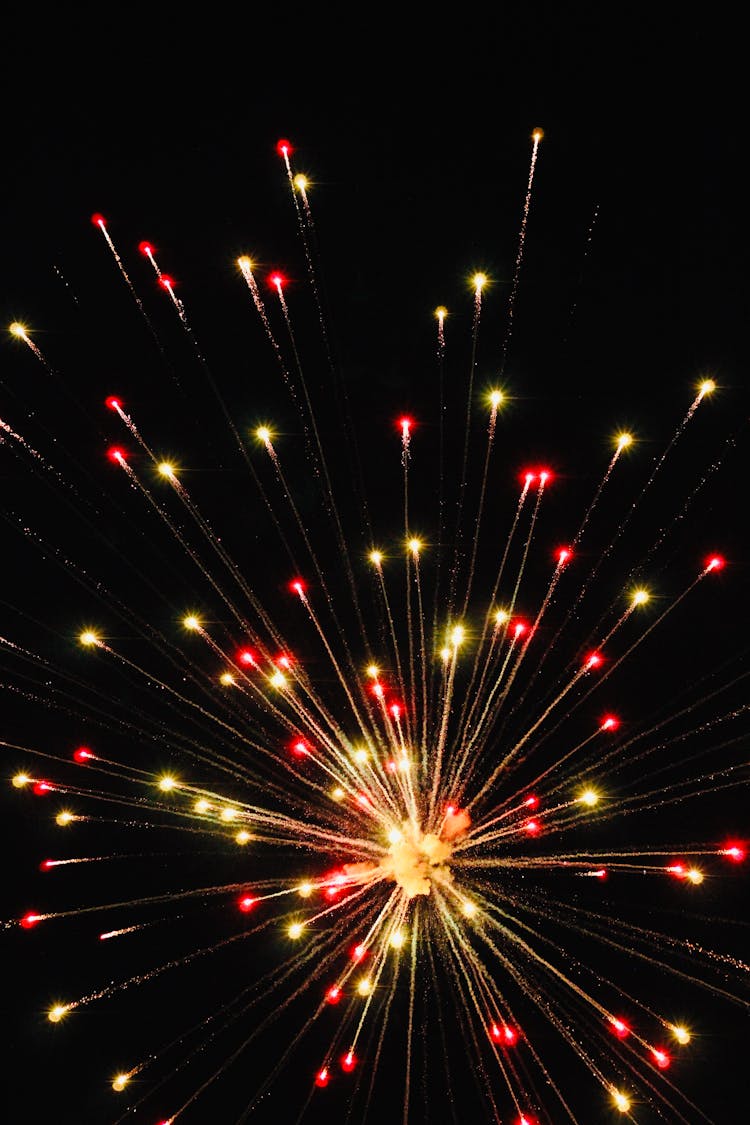 Colorful Firework Bursting In Sky