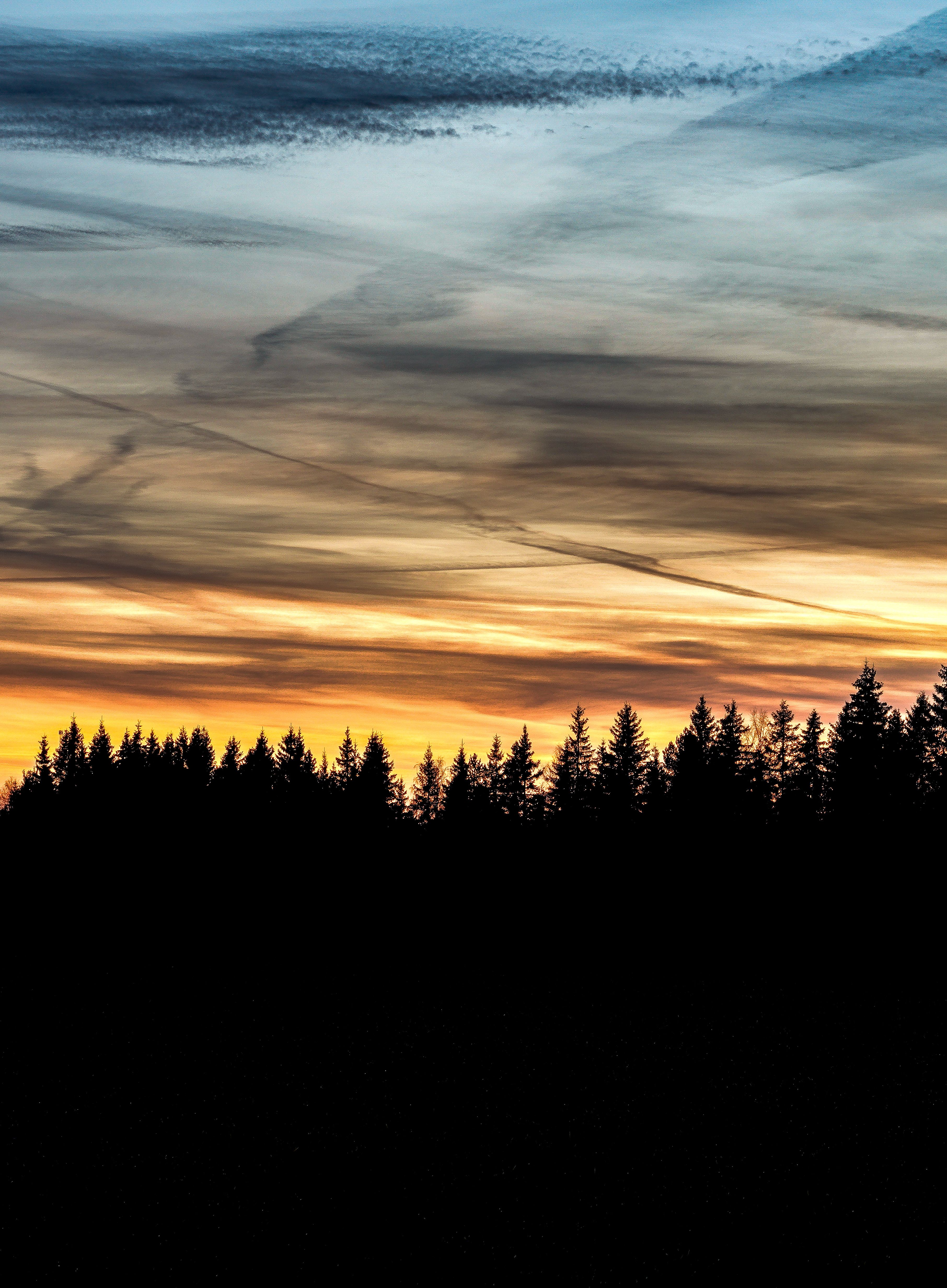 Beautiful Sunset Over Forest Silhouette · Free Stock Photo