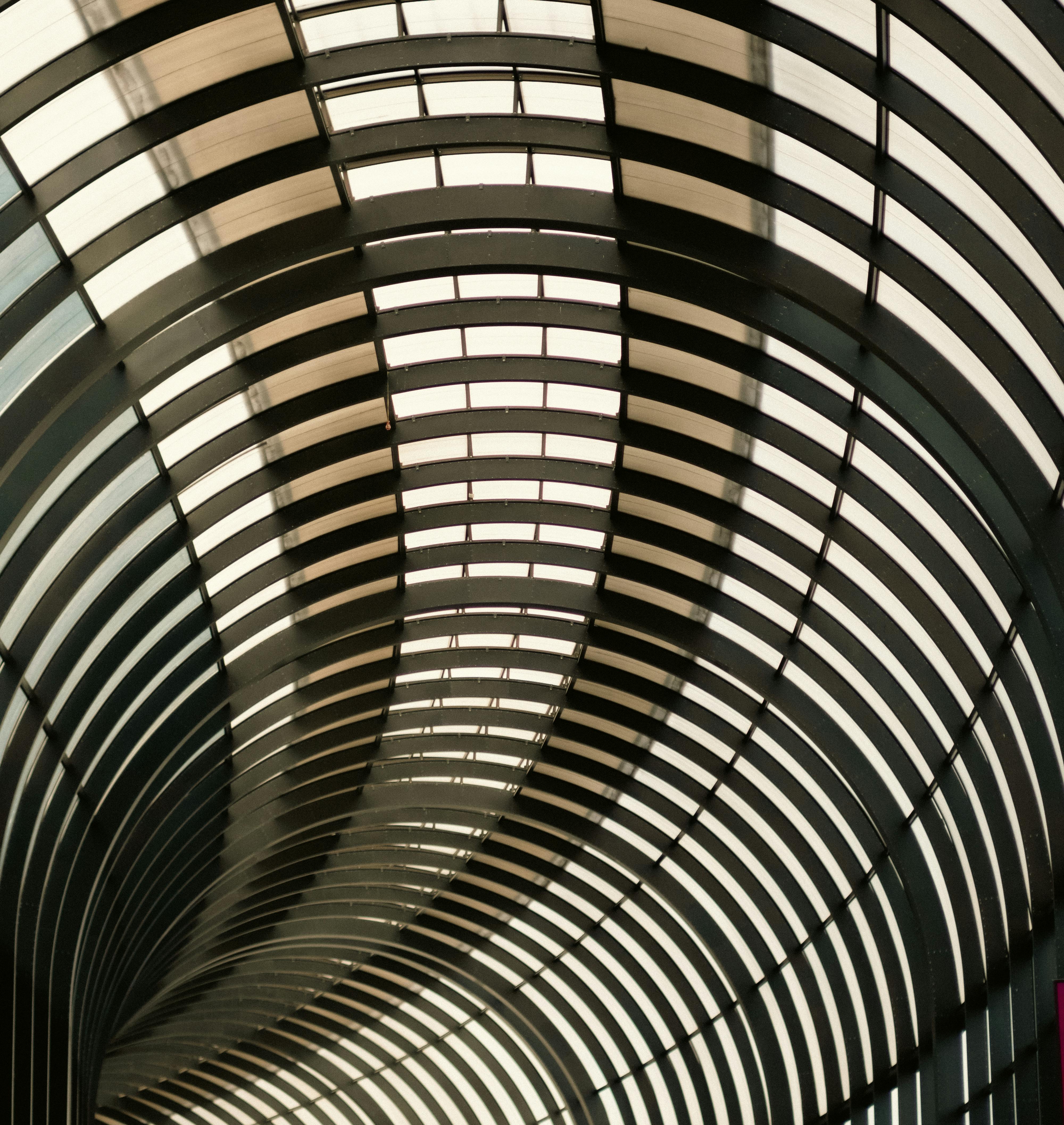 Abstract view of a curved architectural ceiling with geometric patterns and light play.