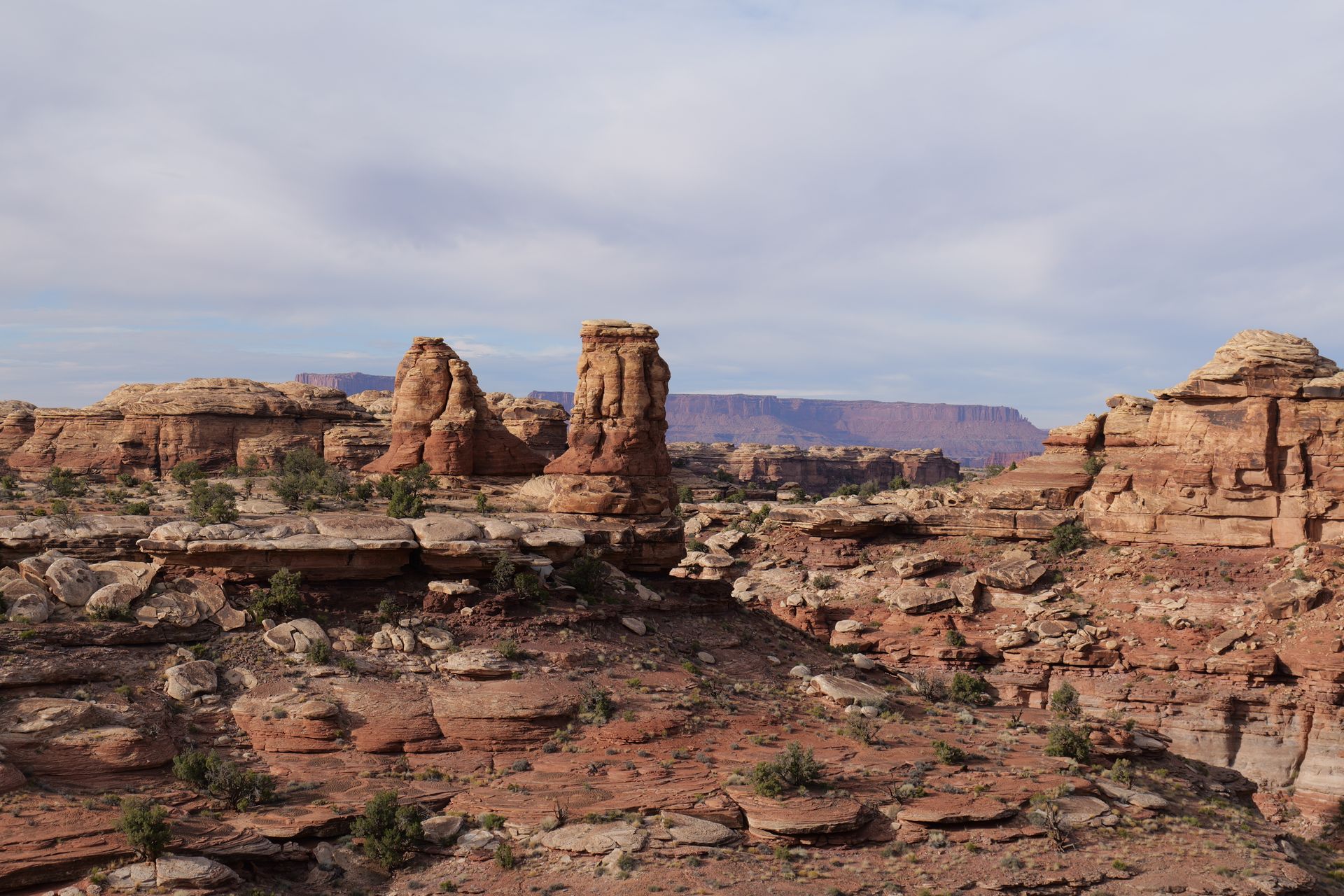 Scenic view of unique rock formations in Canyonlands National Park, Utah under a bright sky.