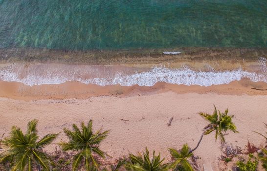 Drone shot of a serene tropical beach with palm trees and gentle waves.