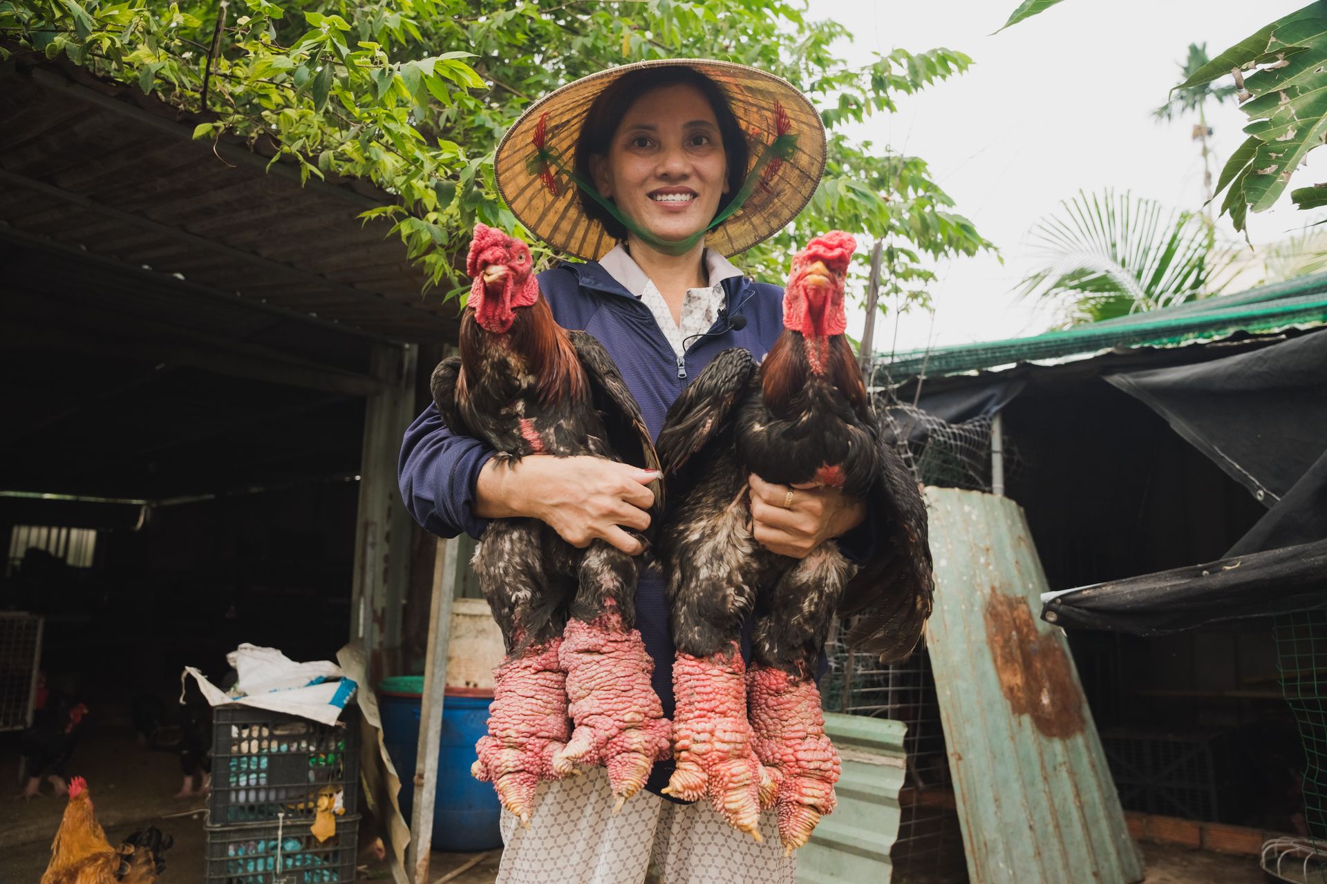 A smiling woman in traditional attire holding two large chickens in an outdoor farm setting.