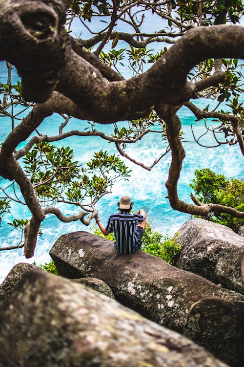 High-Angle Shot of a Man Sitting Alone on a Rock near the Branches