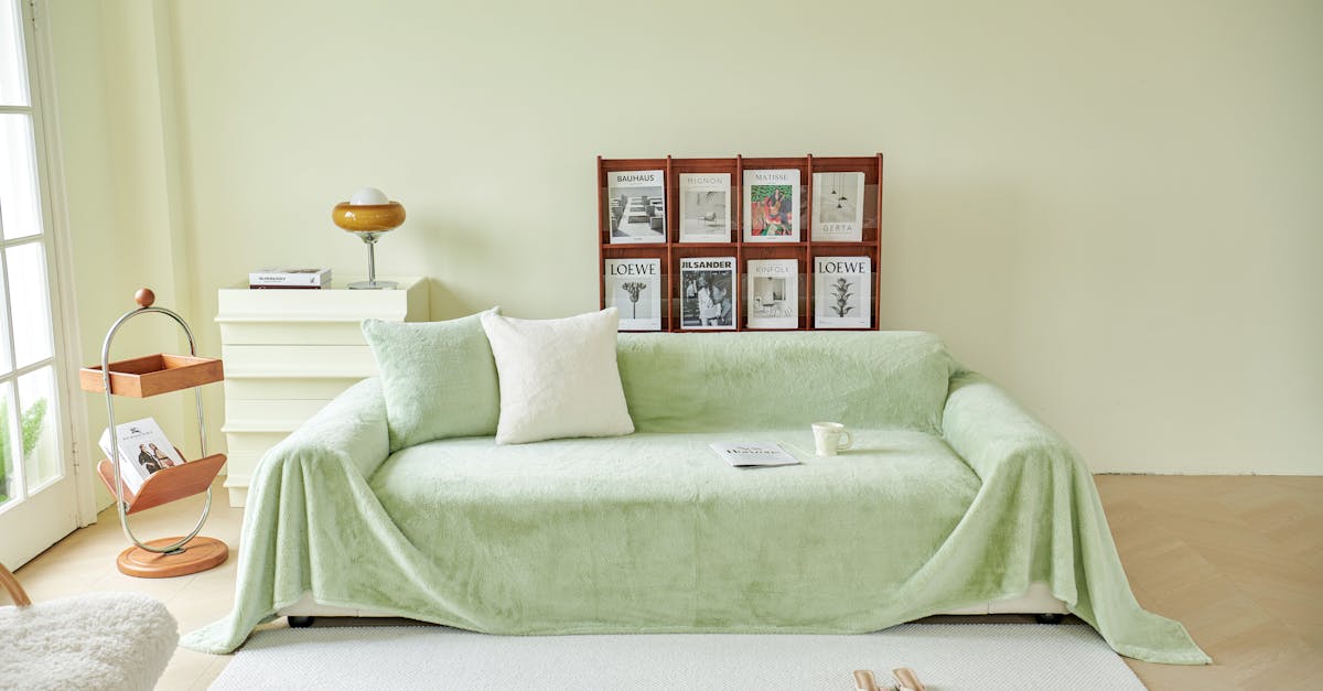 Futons In Living Areas