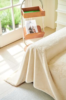 Bright indoor scene featuring a cream sofa cover, natural light, and a magazine rack.