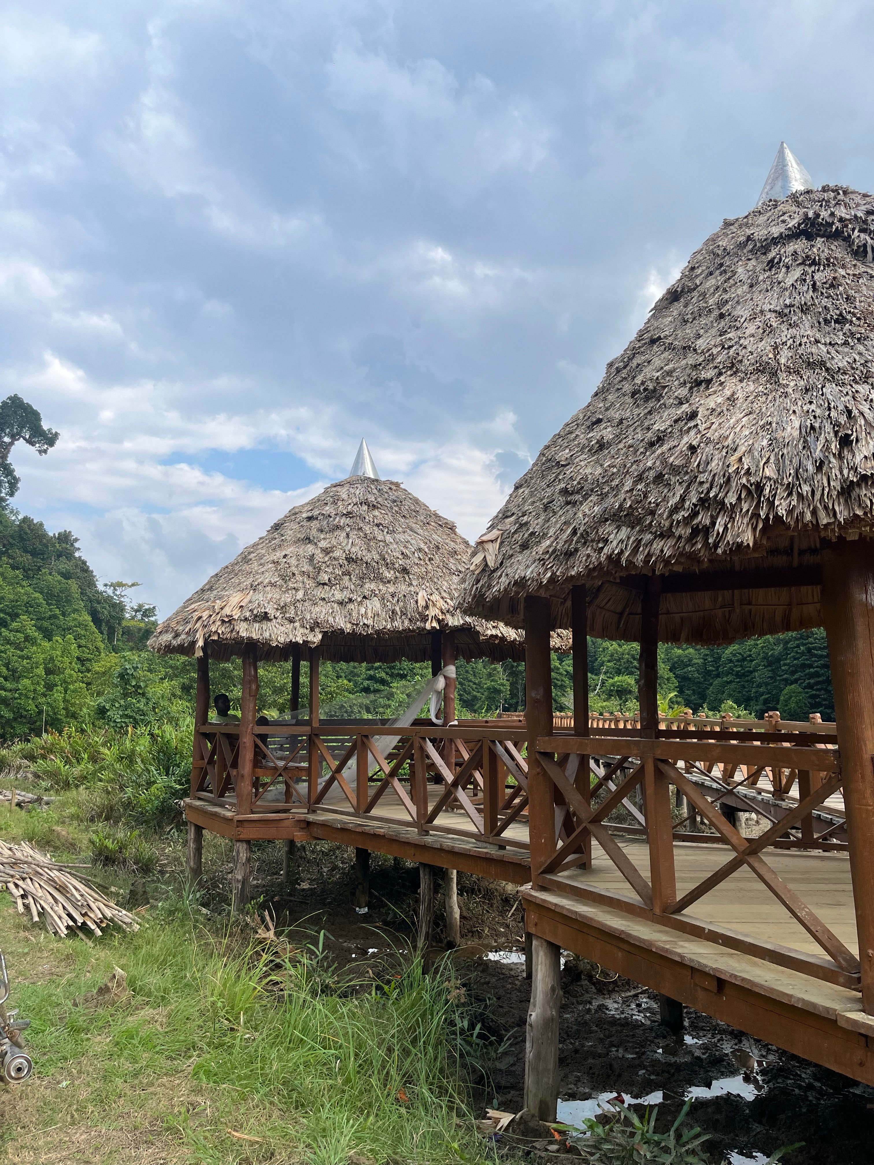 Rustic Thatched Roof Gazebos in Lush Landscape · Free Stock Photo
