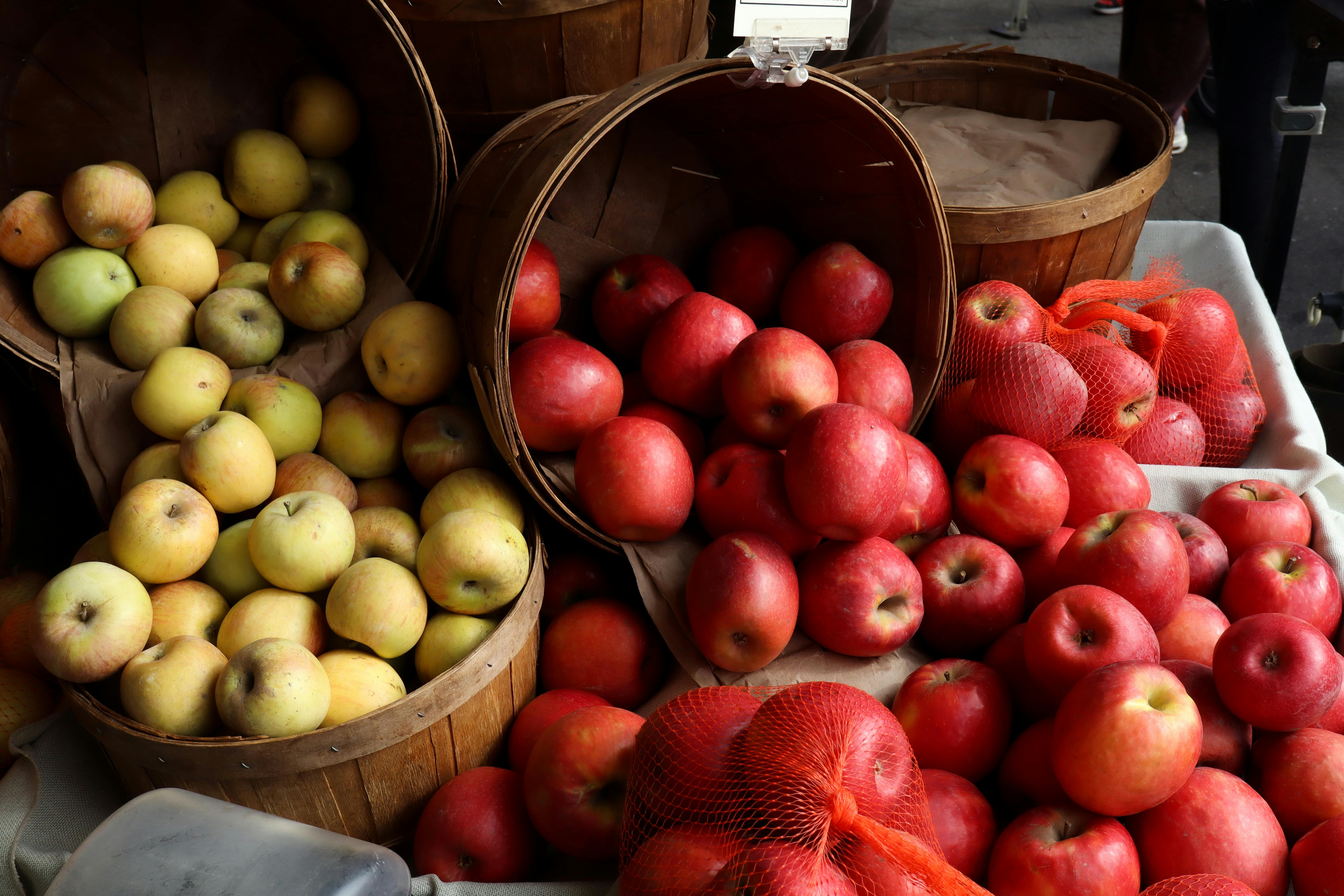 Un homme utilisant un ordinateur pour explorer des opportunités d'emploi