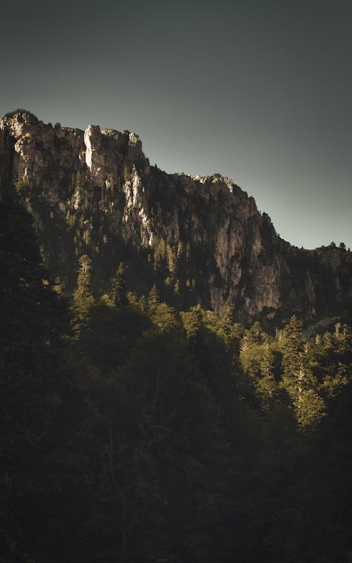 Thick Forest Trees On The Foot Of A Rock Mountain Under Gray  Skies