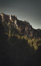 Thick Forest Trees On The Foot Of A Rock Mountain Under Gray Skies