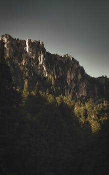 黄昏时分，被常绿森林包围的崎岖山崖景色壮丽