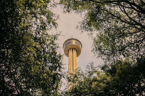 Edificio A Torre E Alberi