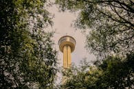 晴朗的天空下，一座高大的观景塔矗立在郁郁葱葱的树木中