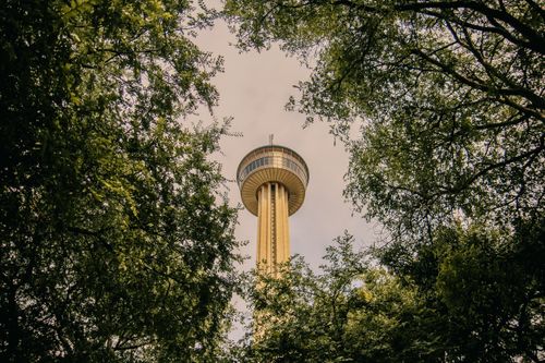 Free A tall observation tower amidst lush trees under a clear sky. Stock Photo