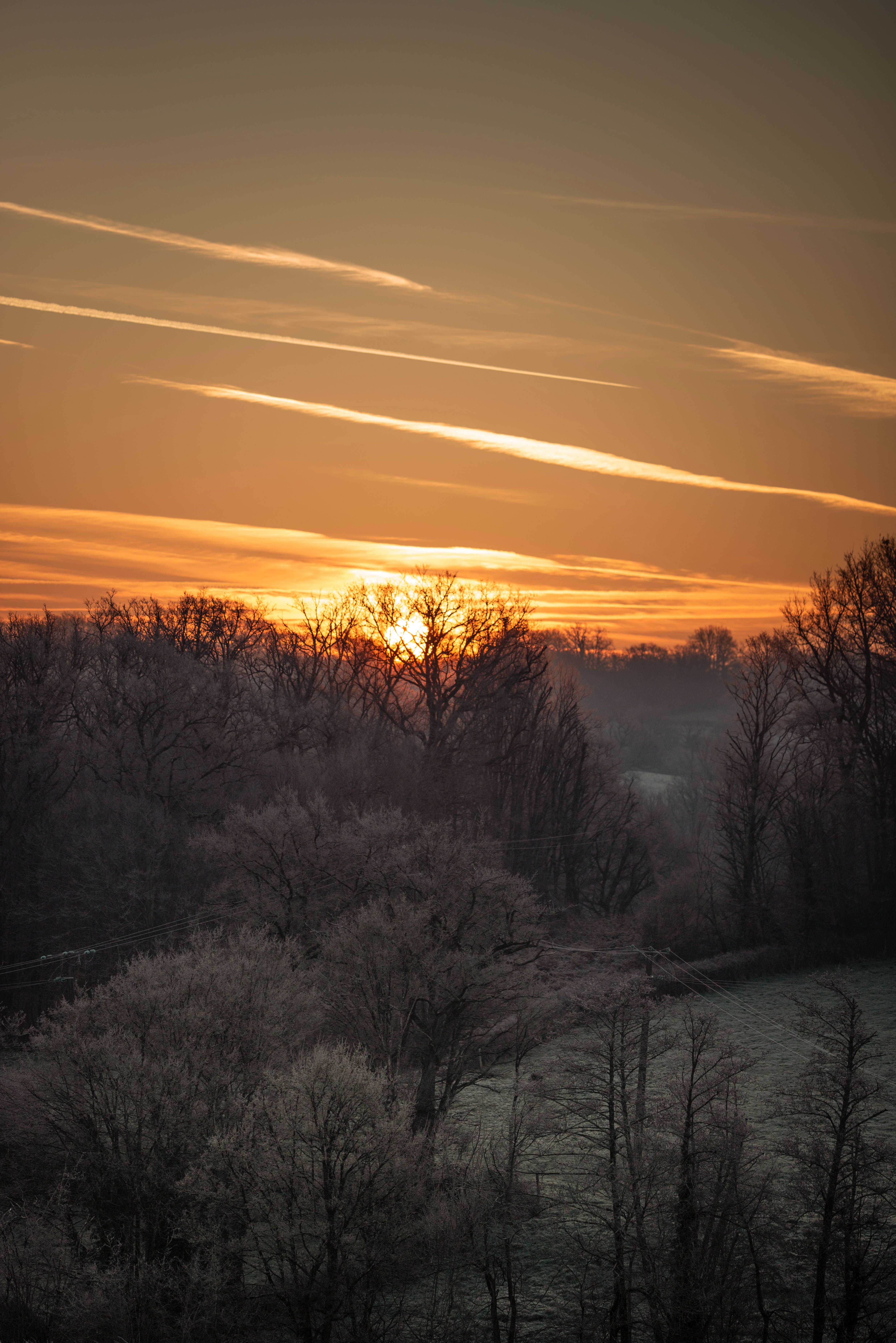 A serene winter sunrise with mist over a forest, creating a tranquil atmosphere.
