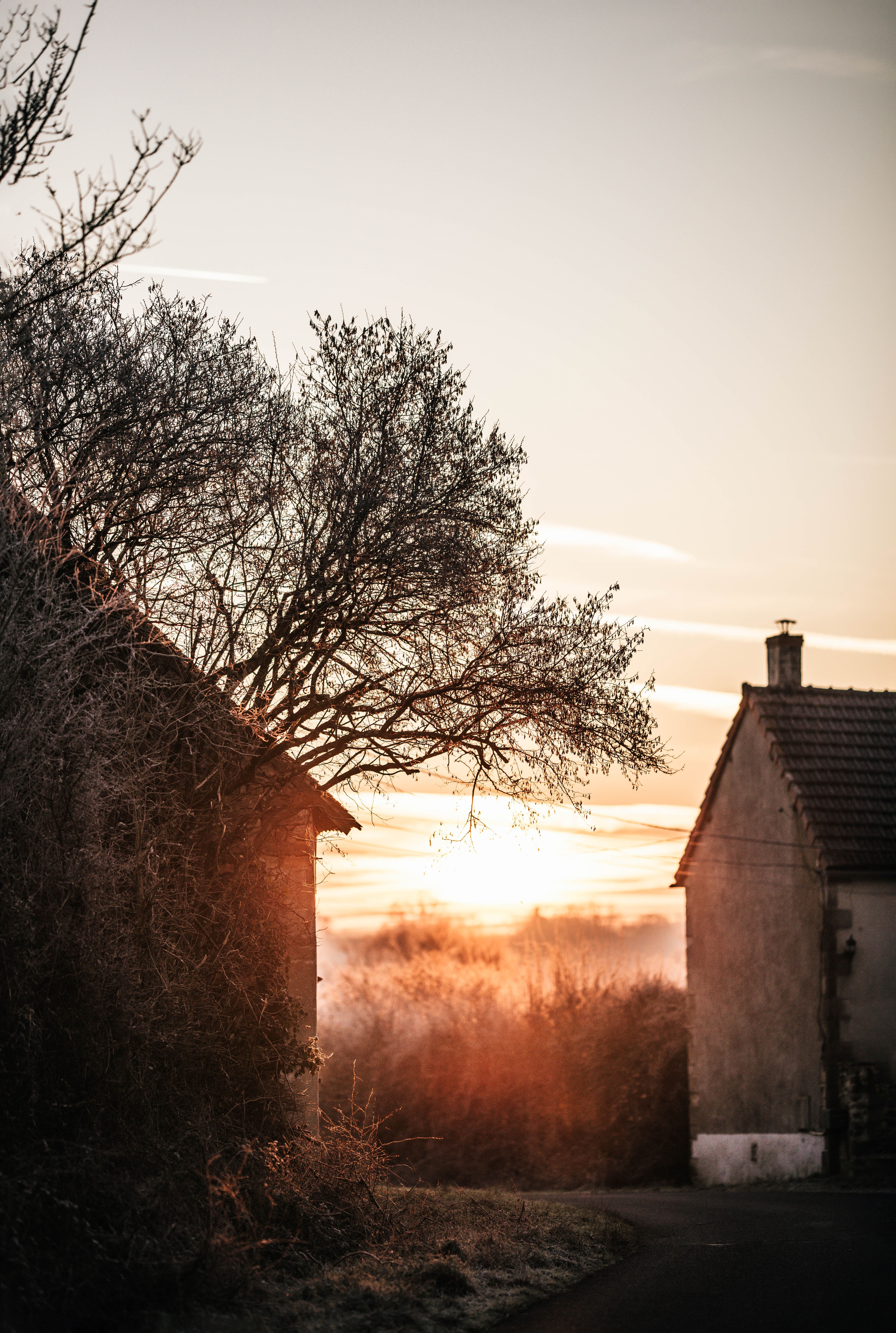 Serene rural landscape at sunset with rustic houses and bare trees. Calm and peaceful vibe.
