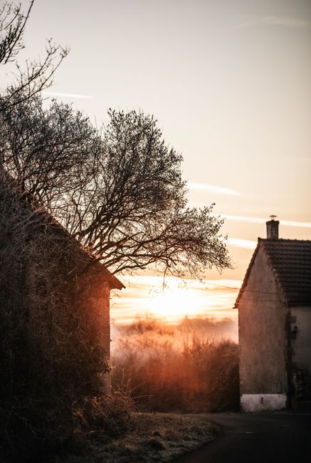 Serene rural landscape at sunset with rustic houses and bare trees. Calm and peaceful vibe.