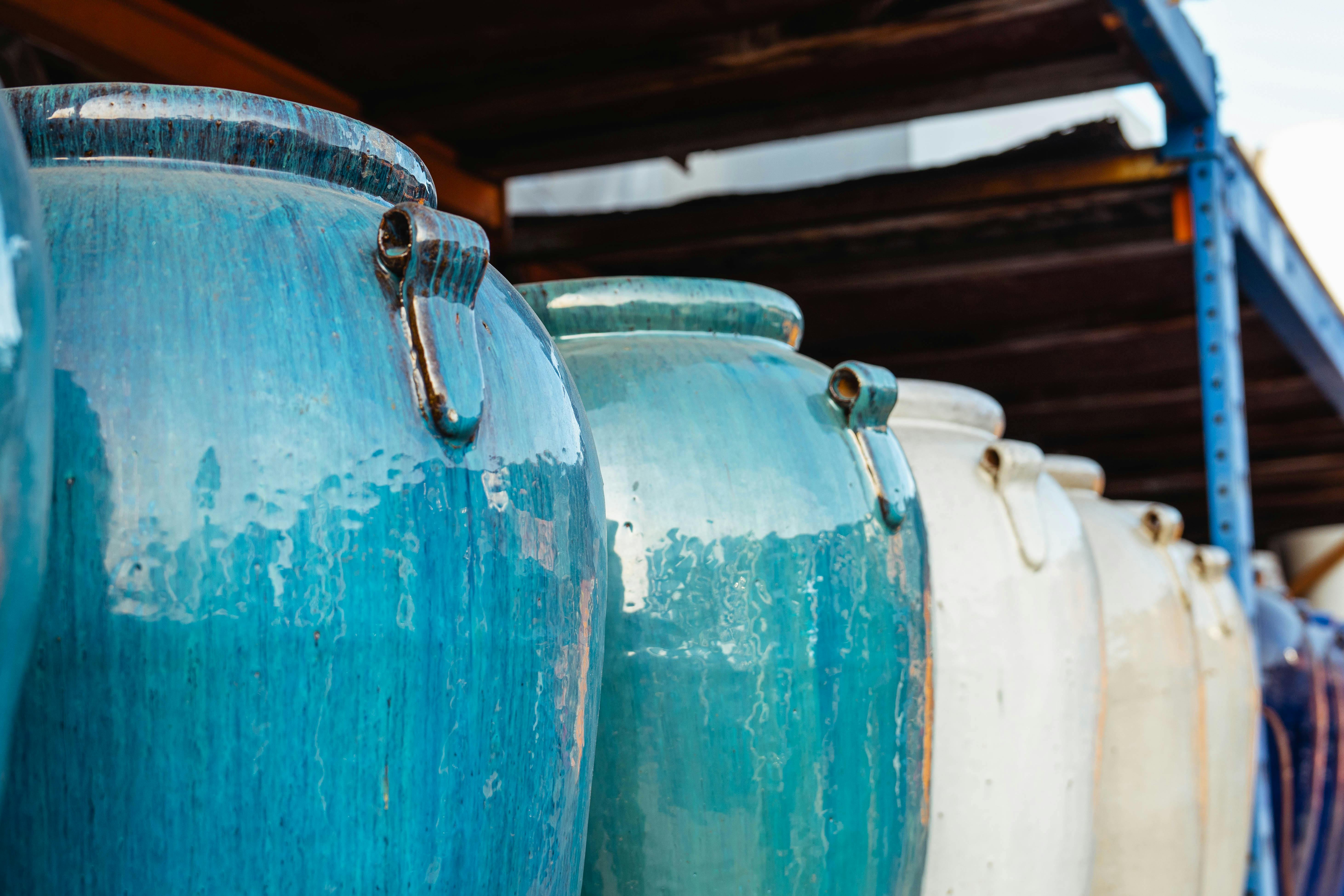 Comparison of terracotta and glazed ceramic pots for succulents - best way to display succulents