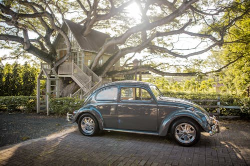 Gray Volkswagen Beetle Parking Near Bushes Surrounded With Tall and Green Trees