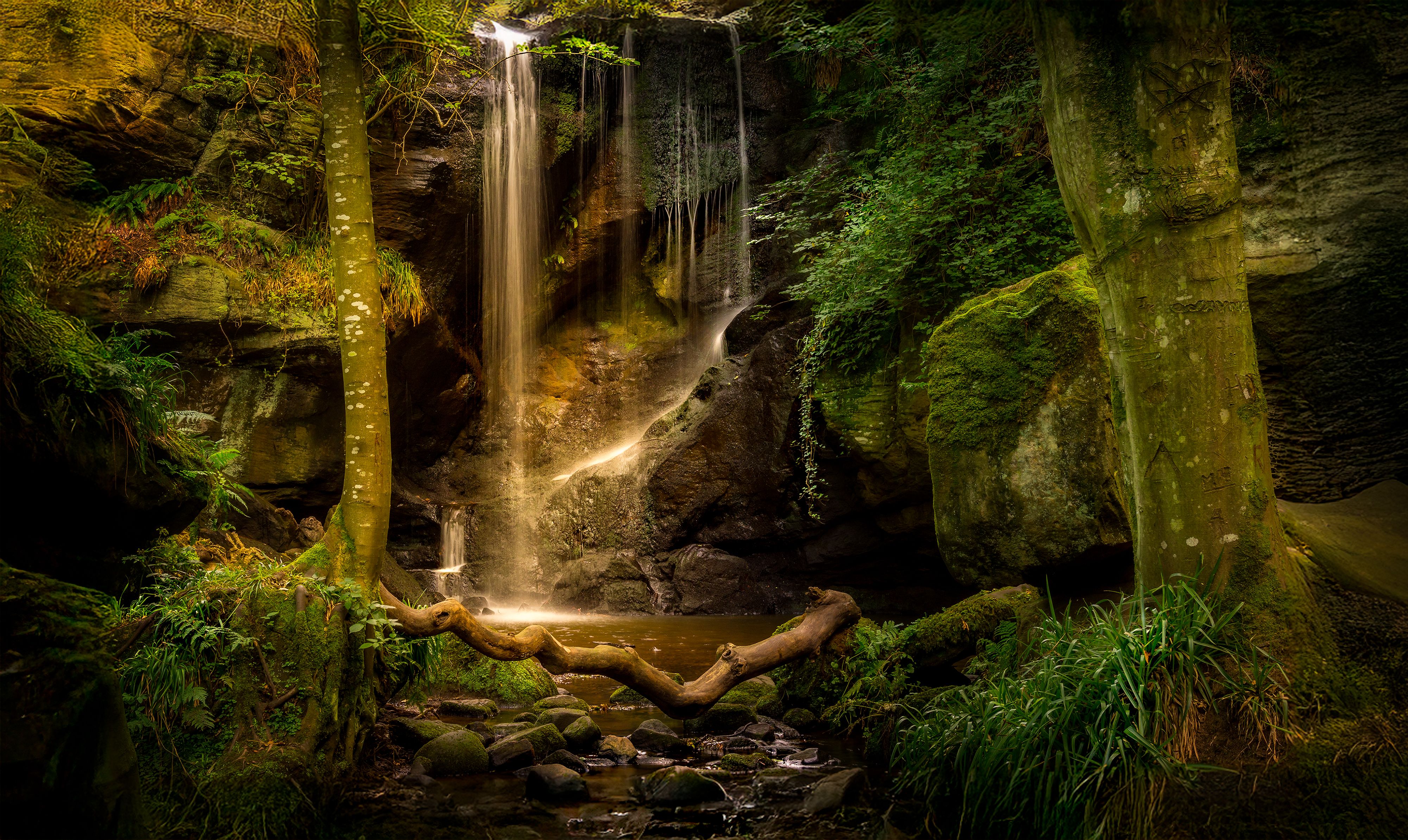 Tranquil waterfall cascading amidst green forest foliage.