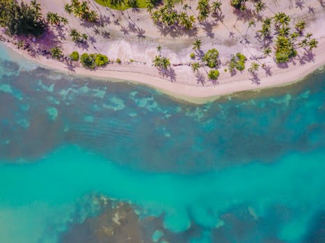 Stunning aerial view of a tropical beach with clear turquoise waters and lush palm trees.