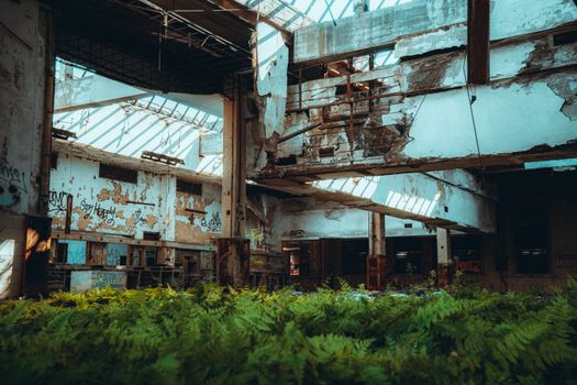 Discover the captivating contrast of urban decay and natural growth in this abandoned Gary, IN site.