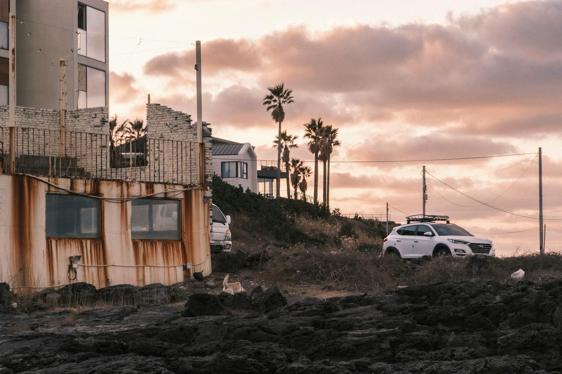 Rustic coastal scene in Jeju, South Korea at sunset with palms and cars.