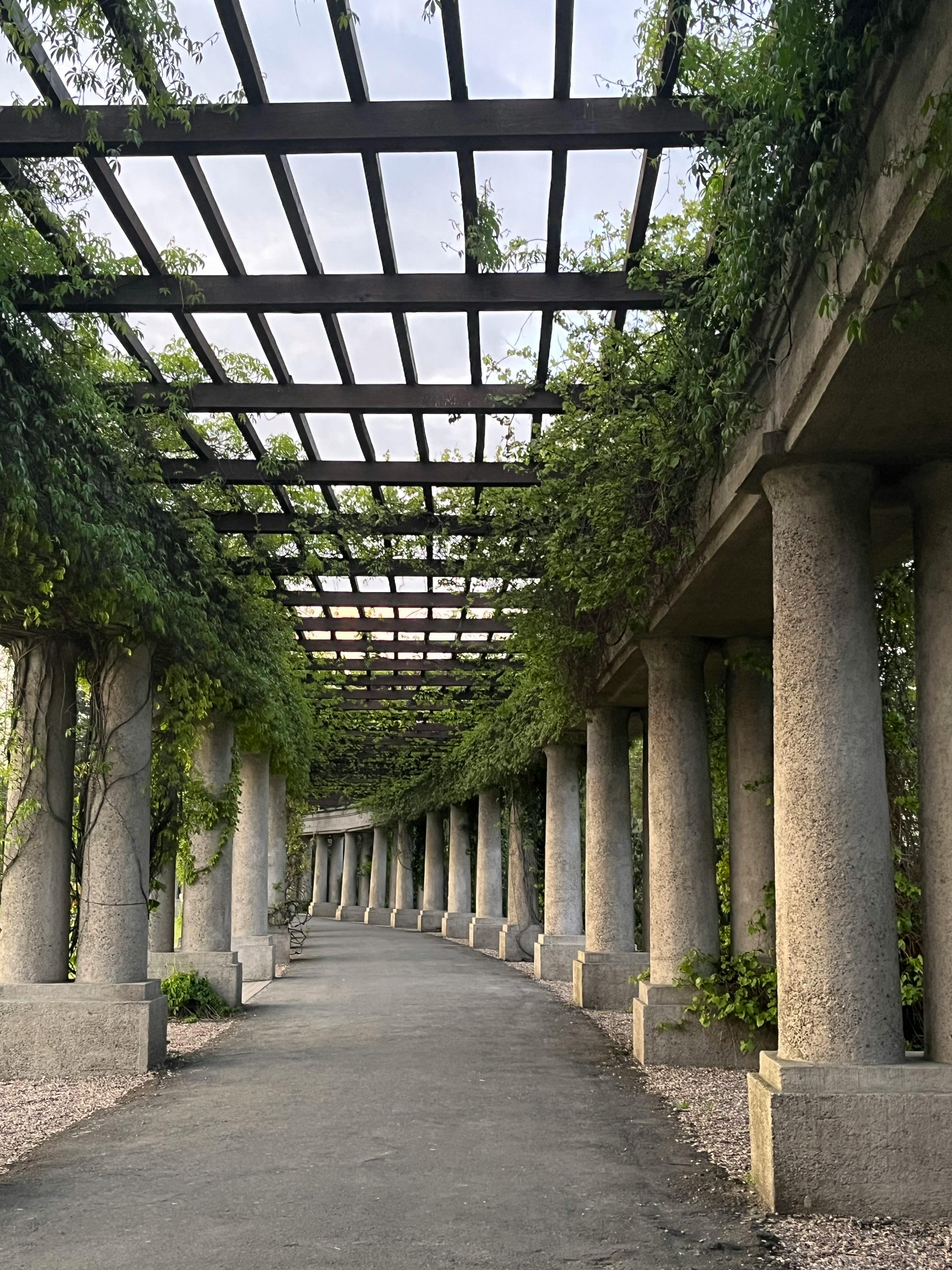 A serene pergola with climbing plants shading a curved pathway, evoking tranquility.