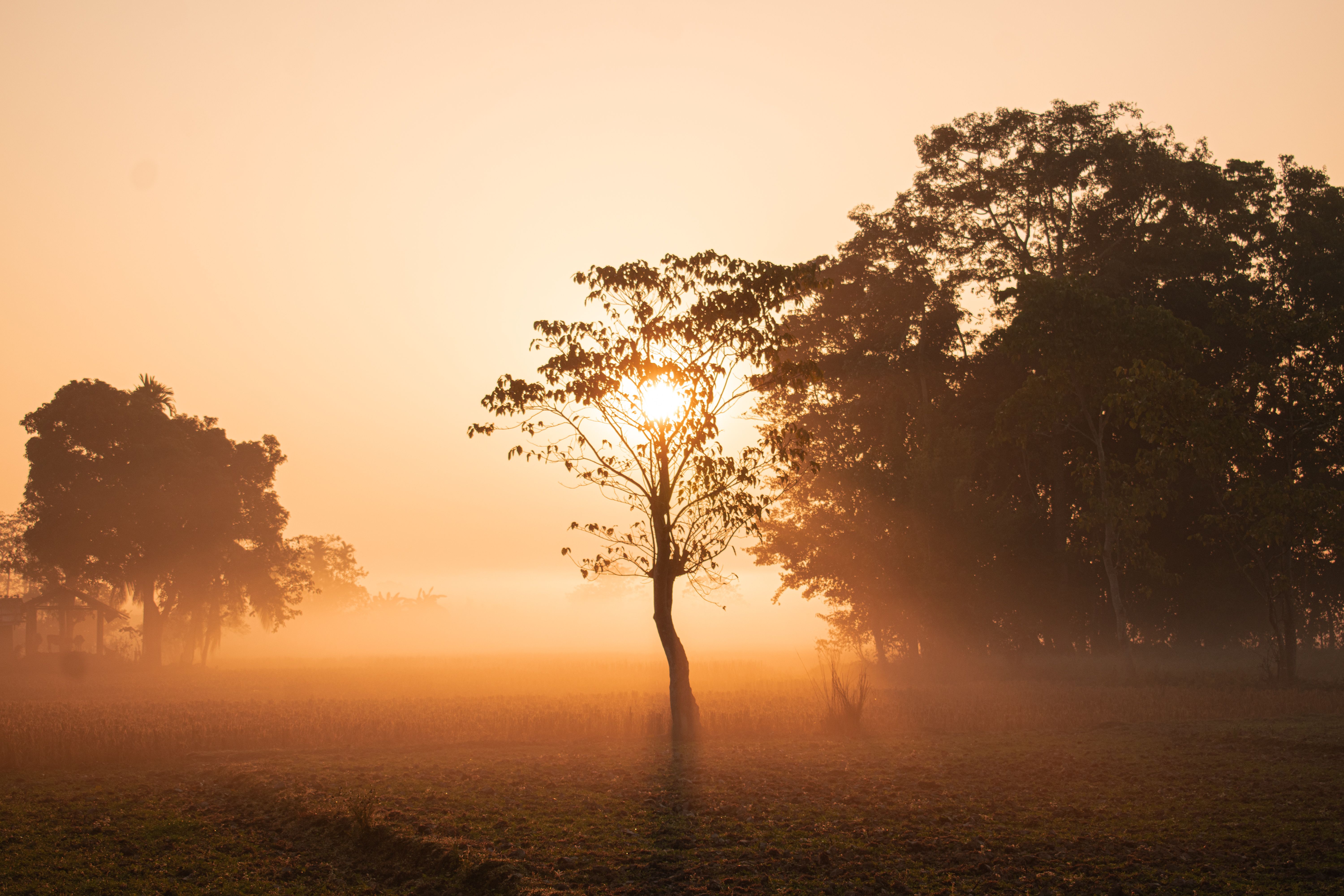 Serene Sunrise Over Misty Countryside Landscape · Free Stock Photo