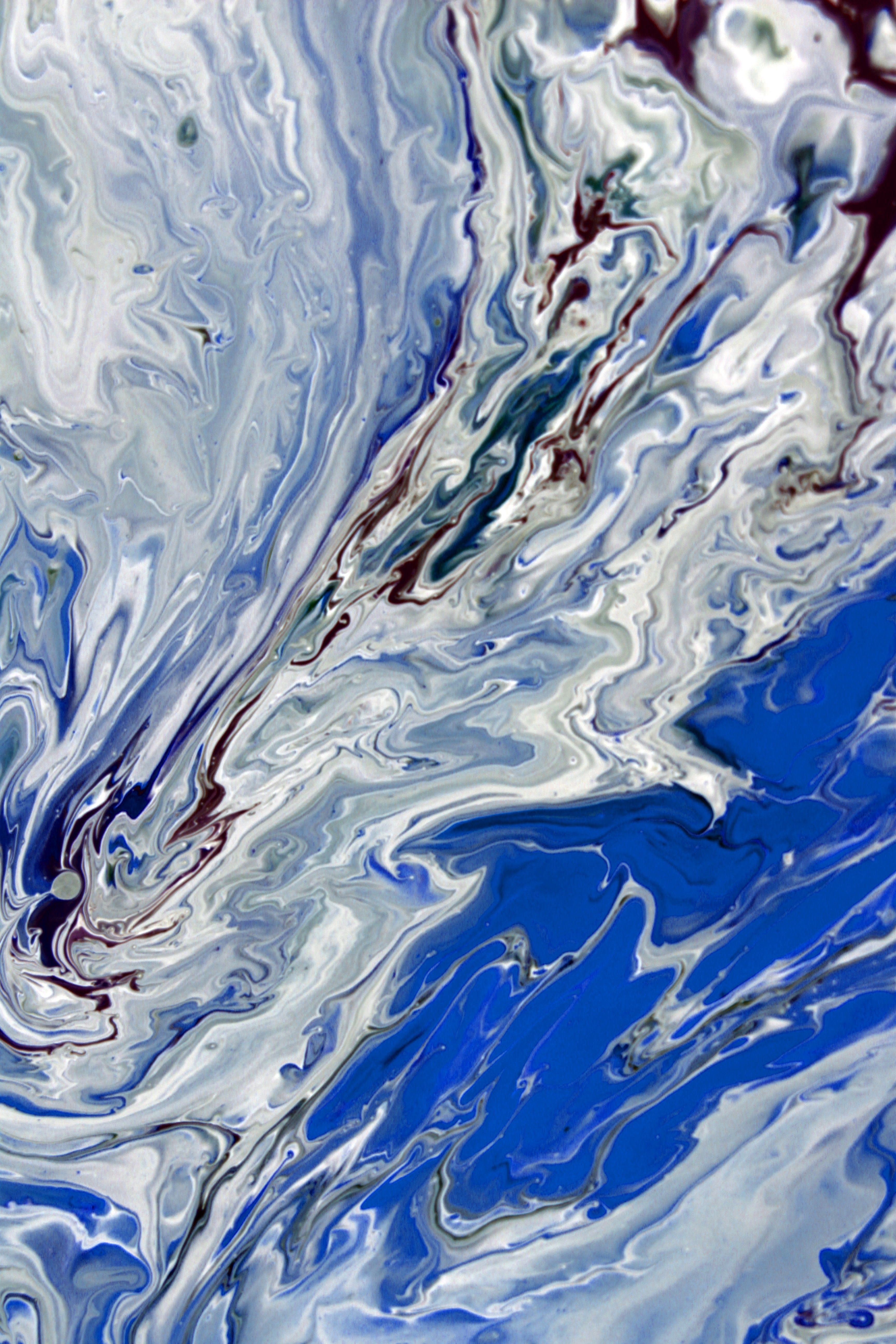Vivid Abstract Blue and White Fluid Art Painting · Free Stock Photo