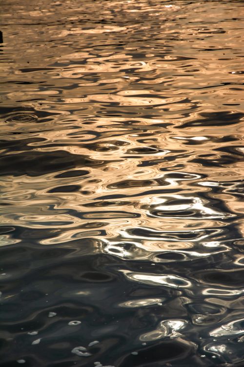 Golden Sunset Reflections on Water Surface · Free Stock Photo