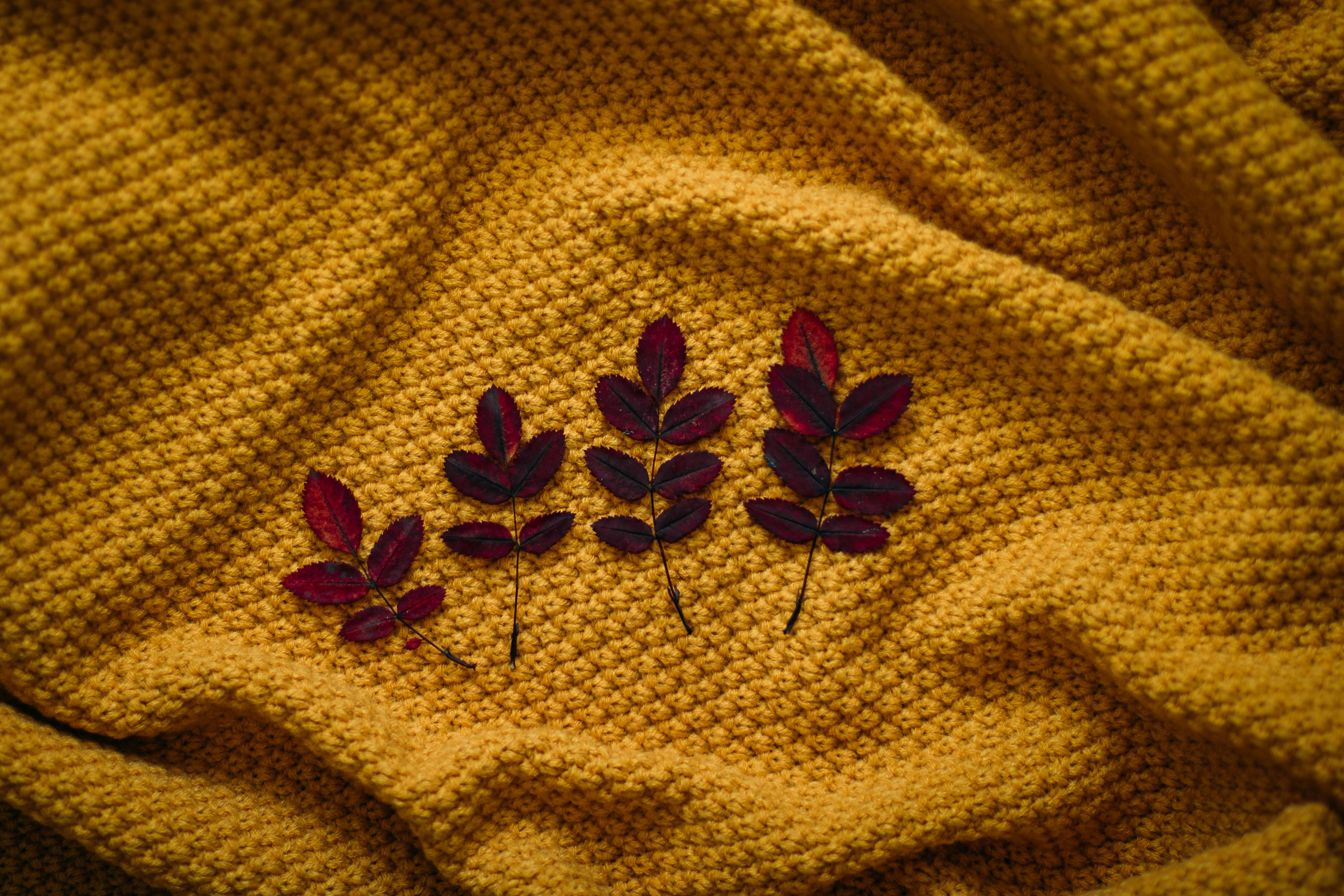 four brown leaves on textile