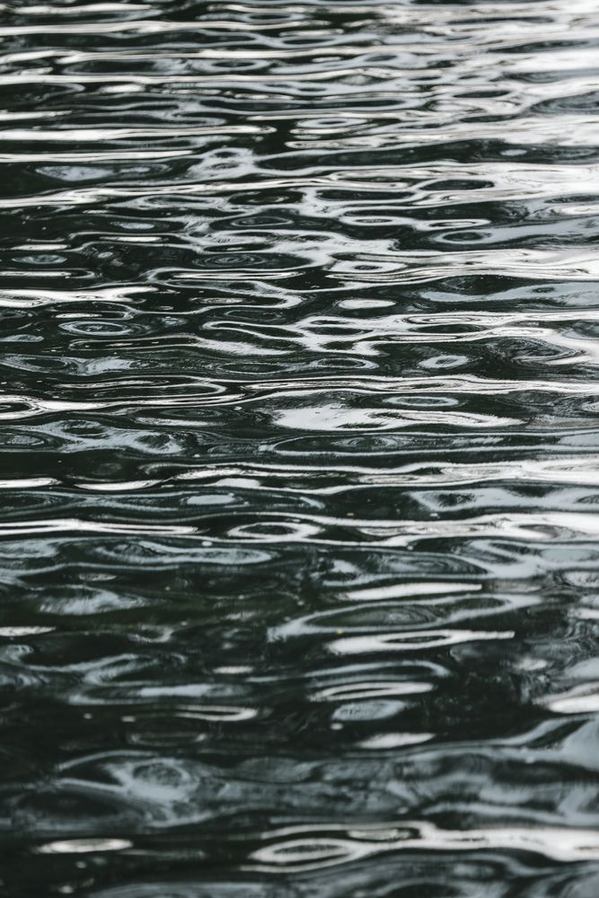 Waterpatterns Photos, Download The BEST Free Waterpatterns Stock Photos ...