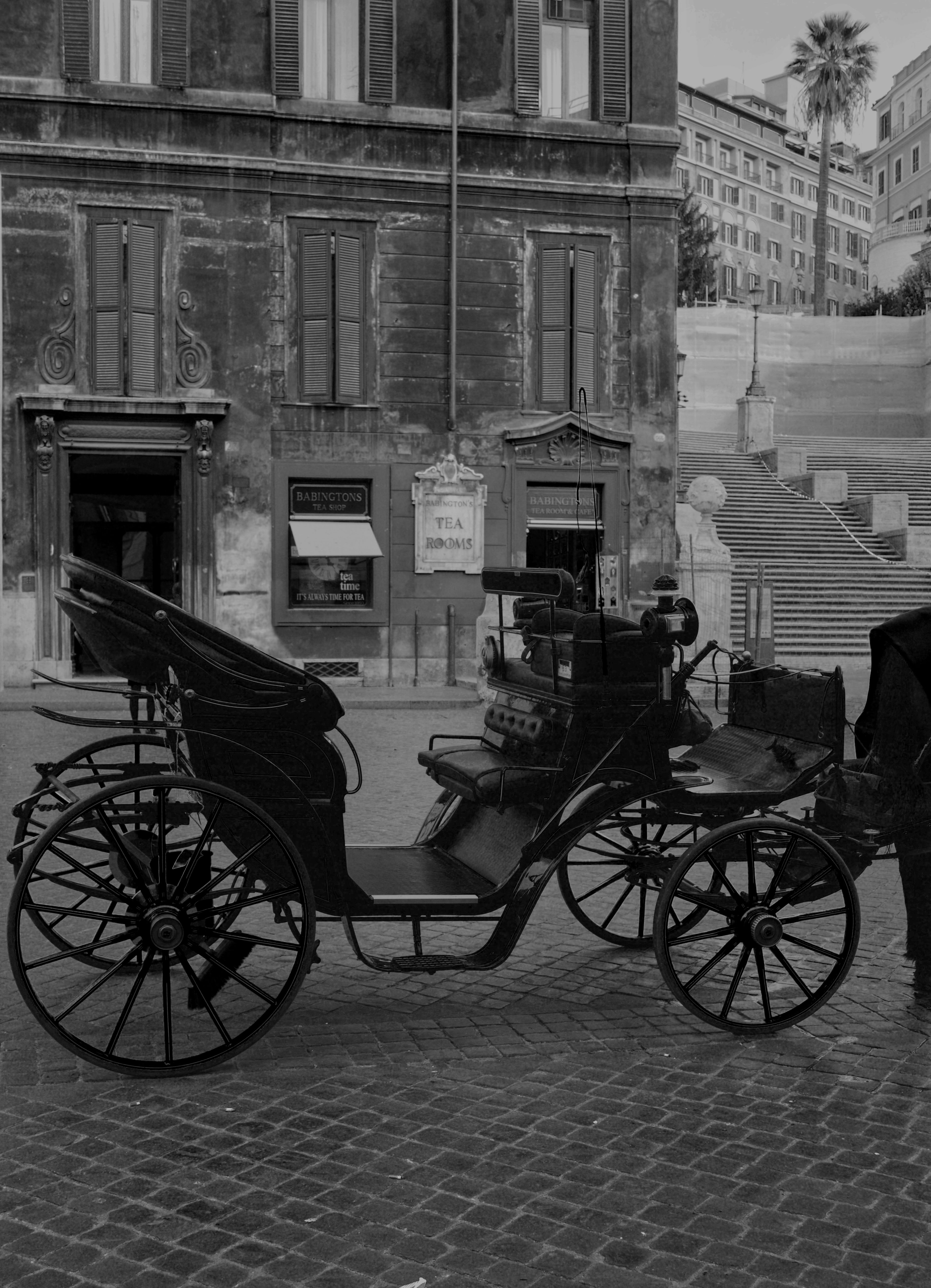 Classic black horse carriage on cobblestones by historic European architecture.