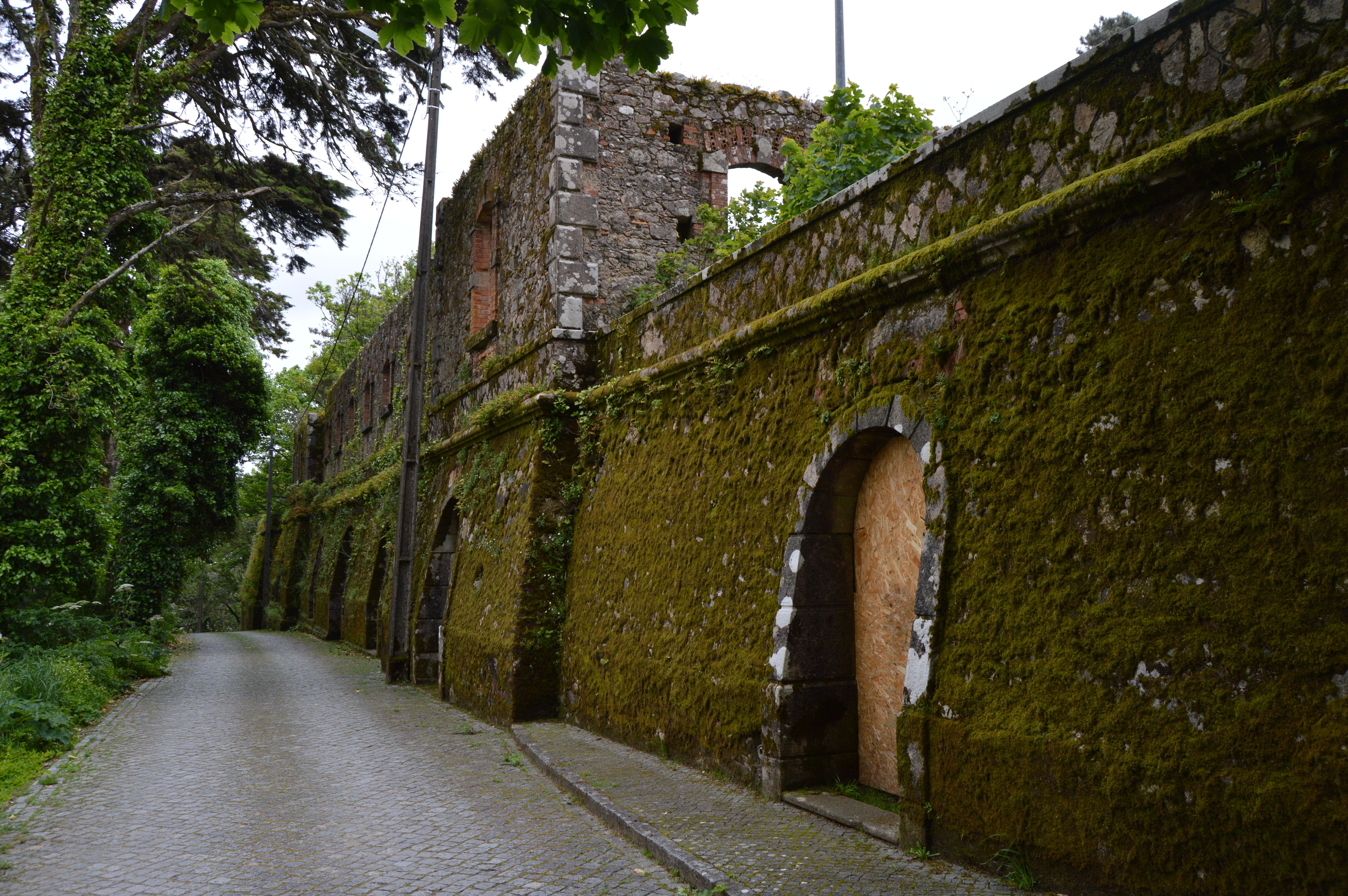 Rain-soaked garden supplies for DIY moss walls.