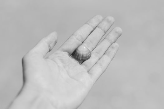 Monochrome close-up of a hand holding a small seashell, evoking simplicity and nature.