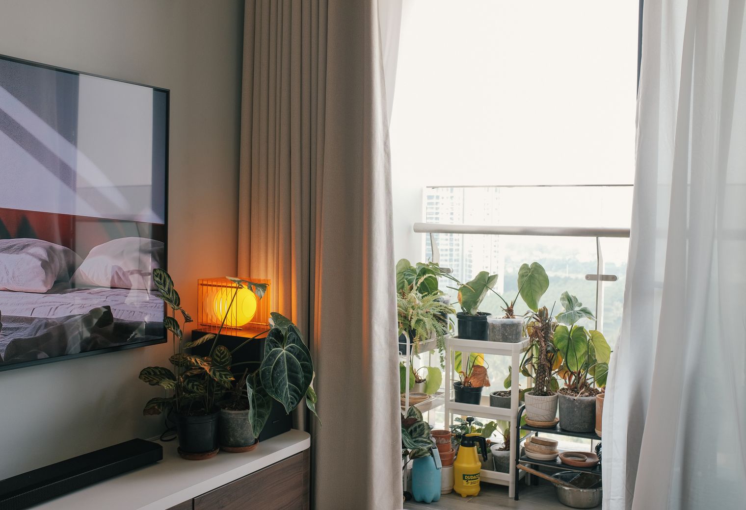 Hackney Downs — professional movers carrying furniture on a house move