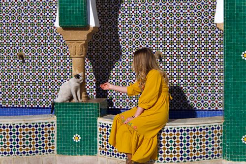 Free A woman in a yellow dress reaches out to a cat in a Moroccan courtyard with colorful tiles. Stock Photo