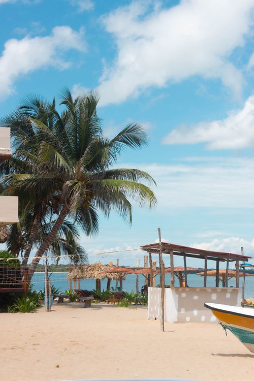 Free Idyllic beachfront scene with palm trees, huts, and blue sky for a serene tropical escape. Stock Photo