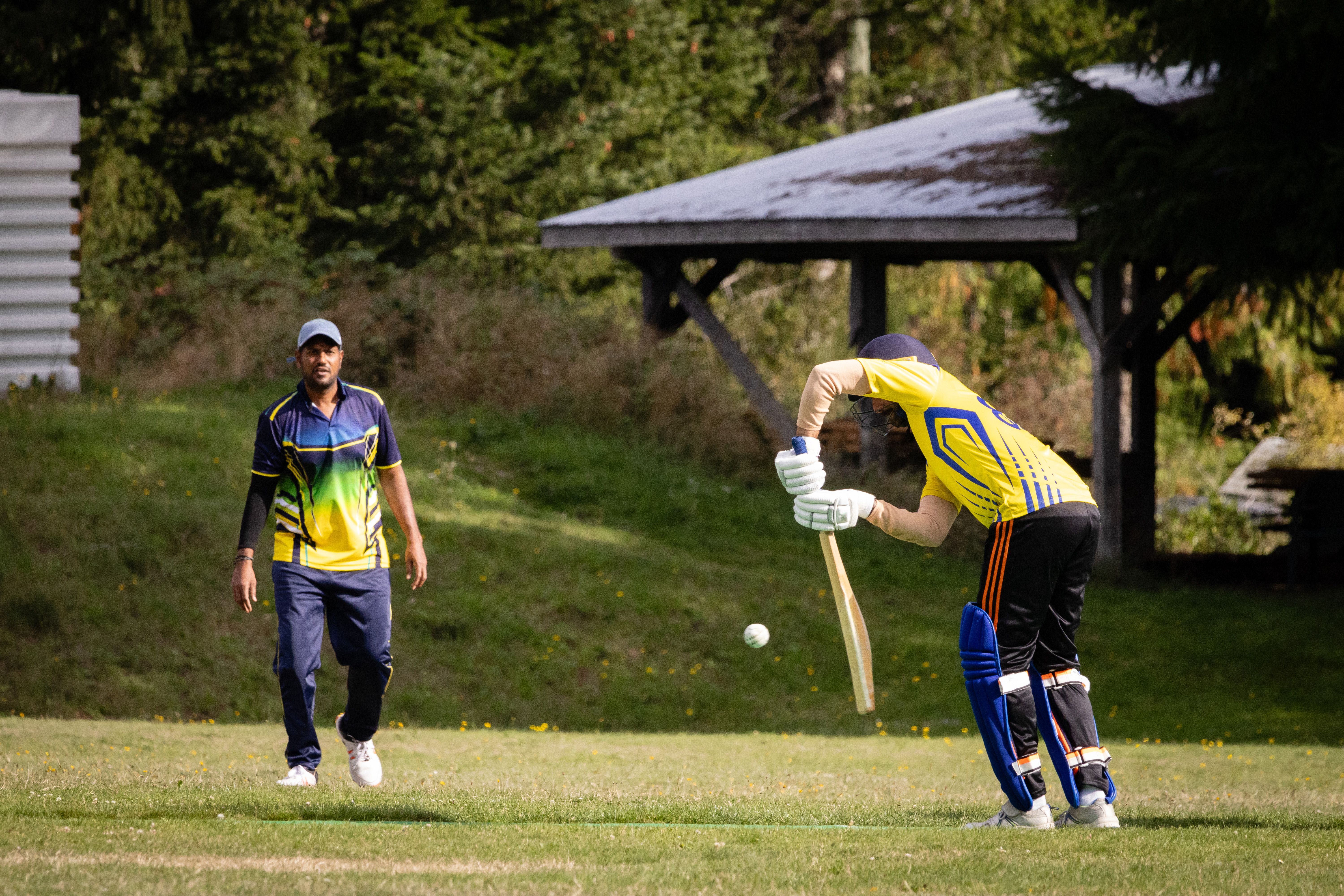 Cricket Bat And Ball Photos, Download The BEST Free Cricket Bat And ...