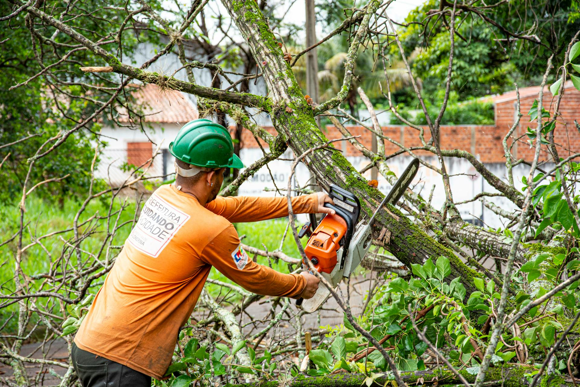 Worker cutting tree branches with a chainsaw in Londrina, Brazil, performing city maintenance.